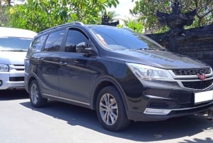 Bali : Private Transfer Between Bali Airport/Harbor and Ubud
