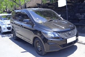 Bali : Private Transfer Between Bali Airport/Harbor and Ubud