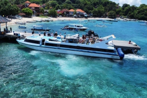 Bali: Speedboat Transfer to/from Gili Meno