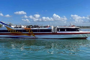 Bali: Speedboat Transfer to/from Gili Meno