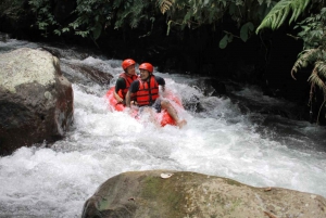 Bali Tubing Adventure: Bali: Virkistävä kellua läpi vehreiden viidakoiden.