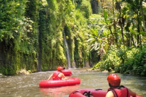 Bali Tubing Adventure: Forfriskende flyt gjennom frodig jungel