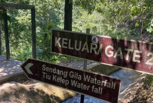 Le meilleur de Lombok : chutes d'eau de sendang gile et tiu kelep