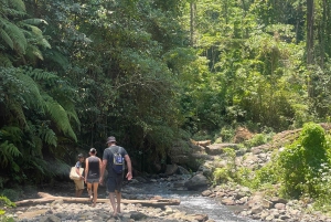 Lo mejor de Lombok: cascadas de Sendang Gile y Tiu Kelep