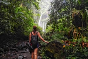 Det bedste af Lombok: Tribe Villages, Traditions & Waterfalls