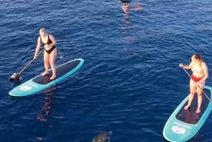 3 Island snorkling tour & turtle sanctuary with gopro