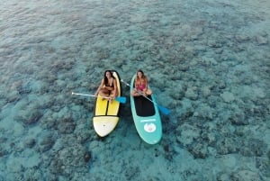 Gili Trawangan: il miglior SUP o kayak all'alba con foto drone