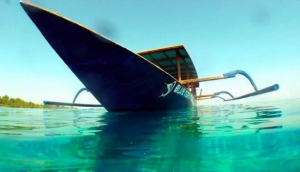 Blue Marlin Dive