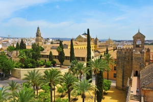 Córdoba: Mosque-Cathedral, Synagogue and Alcázar 4-Hour Tour