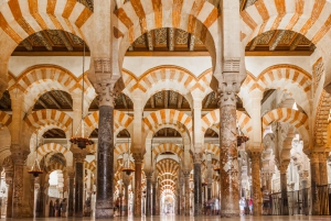 Córdoba: Mosque-Cathedral, Synagogue and Alcázar 4-Hour Tour