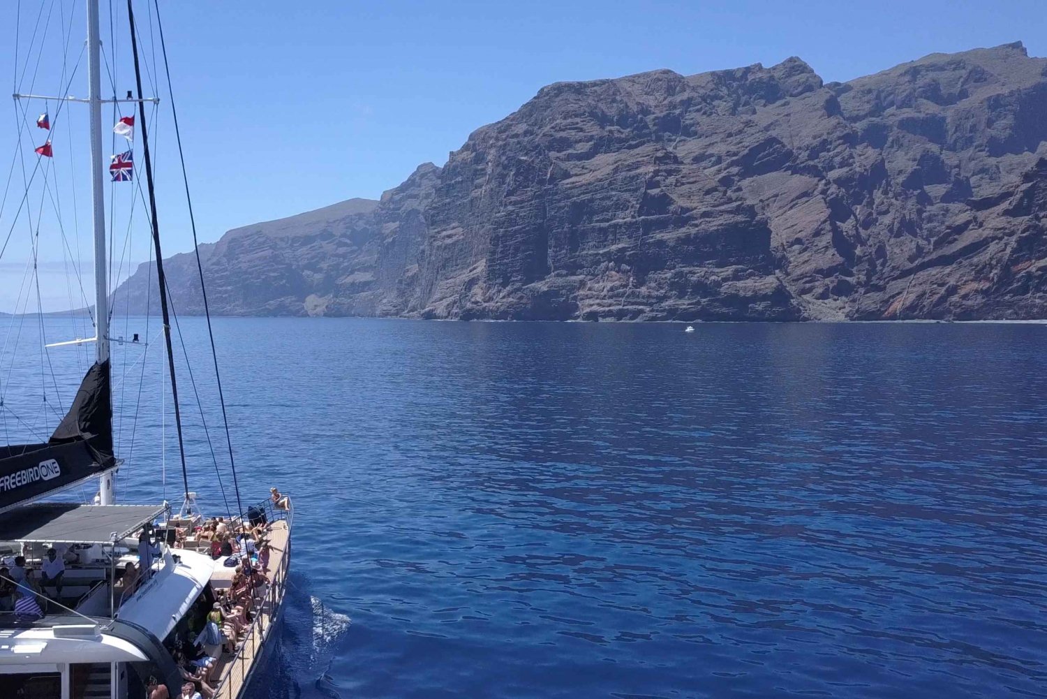 Costa Adeje: Masca and Los Gigantes Whale Watching Cruise
