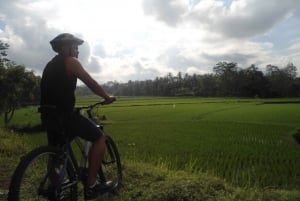 Giro in bicicletta in campagna fino al villaggio di Golong e al tempio di Lingsar