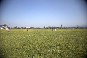 Randonnée à vélo dans la campagne vers le village de Golong et le temple de Lingsar