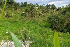 Countryside Cycling Tour