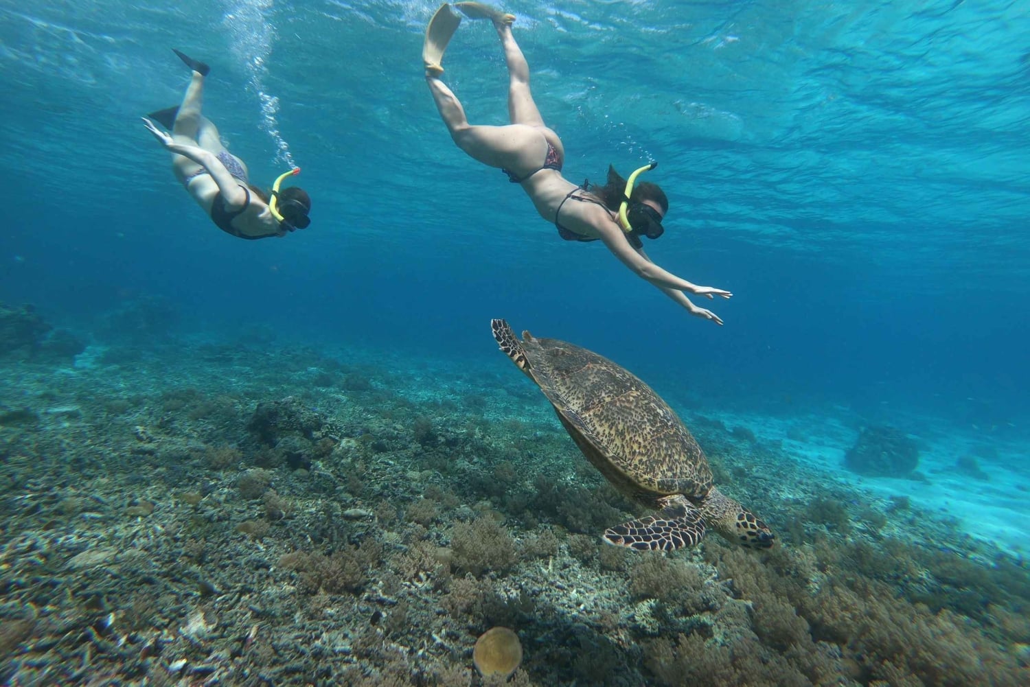 Day Tour Gili Trawangan, Gili Meno, Gili Air (Depart Lombok)