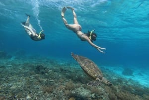 Dagstur Gili Trawangan, Gili Meno, Gili Air (afrejse fra Lombok)