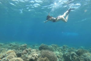 Dagstur Gili Trawangan, Gili Meno, Gili Air (avreise Lombok)