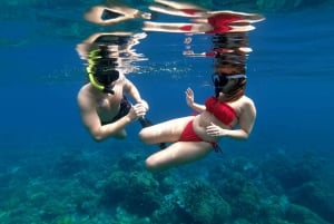 Excursion d'une journée à Gili Trawangan, Gili Meno, Gili Air (Départ de Lombok)