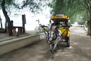 Dagstur Gili Trawangan, Gili Meno, Gili Air (avresa Lombok)