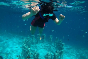 Dagstur Gili Trawangan, Gili Meno, Gili Air (avresa Lombok)