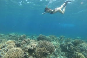 Day Tour Gili Trawangan, Gili Meno, Gili Air (Depart Lombok)