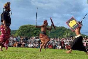 Excursion d'une journée /Sasak Lombok culture et village traditionnel