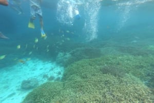 Gili Secreta del Suroeste,Gili Layar,Gili Gede&Gili Rengit