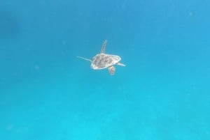 Lounainen salainen Gili,Gili Layar,Gili Gede&Gili Rengit