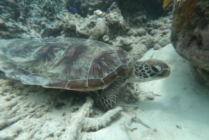 Lounainen salainen Gili,Gili Layar,Gili Gede&Gili Rengit