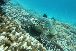 Gili Secreta del Suroeste,Gili Layar,Gili Gede&Gili Rengit