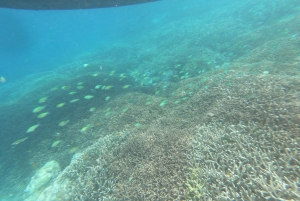 Zuidwestelijk Geheim Gili,Gili Layar,Gili Gede&Gili Rengit