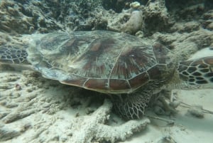 Zuidwestelijk Geheim Gili,Gili Layar,Gili Gede&Gili Rengit