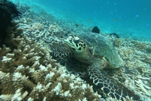 Gili Secreta do Sudoeste,Gili Layar,Gili Gede&Gili Rengit