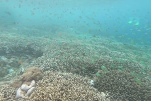 Gili Secreta do Sudoeste,Gili Layar,Gili Gede&Gili Rengit