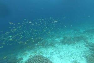 Lounainen salainen Gili,Gili Layar,Gili Gede&Gili Rengit