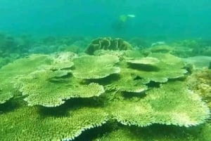 Lounainen salainen Gili,Gili Layar,Gili Gede&Gili Rengit