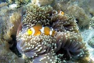 Lounainen salainen Gili,Gili Layar,Gili Gede&Gili Rengit