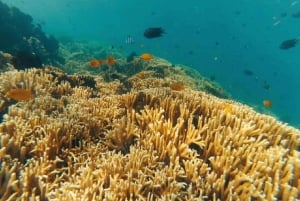 Gili Secreta del Suroeste,Gili Layar,Gili Gede&Gili Rengit