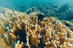 Gili Secreta do Sudoeste,Gili Layar,Gili Gede&Gili Rengit