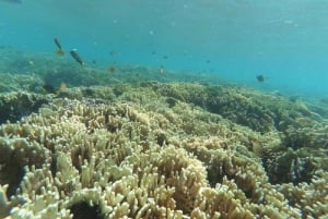 Gili Secreta del Suroeste,Gili Layar,Gili Gede&Gili Rengit