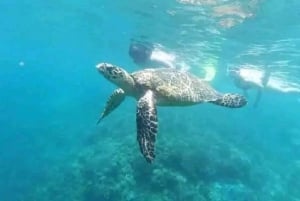 Gili Secreta del Suroeste,Gili Layar,Gili Gede&Gili Rengit