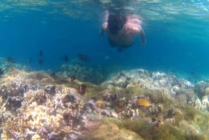 Gili Secreta del Suroeste,Gili Layar,Gili Gede&Gili Rengit