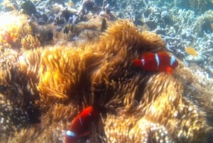 Lounainen salainen Gili,Gili Layar,Gili Gede&Gili Rengit