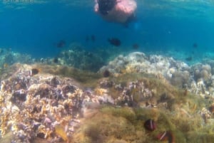 Gili Secreta del Suroeste,Gili Layar,Gili Gede&Gili Rengit