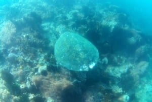 Gili Secreta del Suroeste,Gili Layar,Gili Gede&Gili Rengit