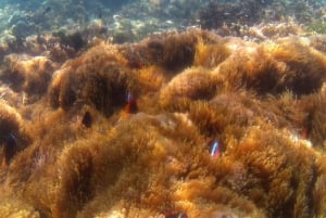 Lounainen salainen Gili,Gili Layar,Gili Gede&Gili Rengit