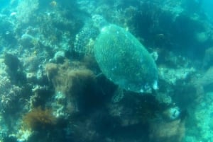 Gili Secreta do Sudoeste,Gili Layar,Gili Gede&Gili Rengit