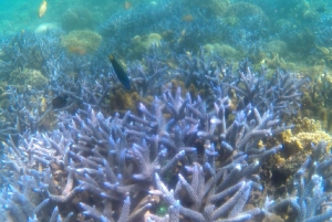 Zuidwestelijk Geheim Gili,Gili Layar,Gili Gede&Gili Rengit