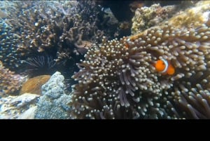 Tagestour Südost, Lombok Pink Beach & Gili Island