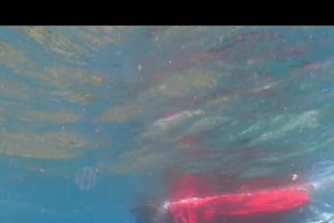 Tagestour Südost, Lombok Pink Beach & Gili Island